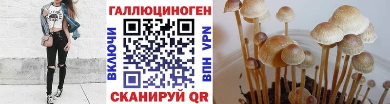 Псилоцибиновые грибы Psilocybe  как найти закладки  Углегорск 
